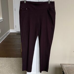 Attyre Women's Skinny Stretch Slacks